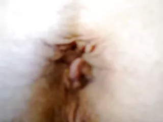 স্বামী ও বাংলা চোদা চোদি video স্ত্রী