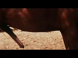 লাল চুলের, স্বামী ও স্ত্রী চুদি চুদী
